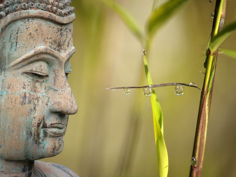 Optimiser votre bien-être grâce à la kinésiologie&nbsp;: