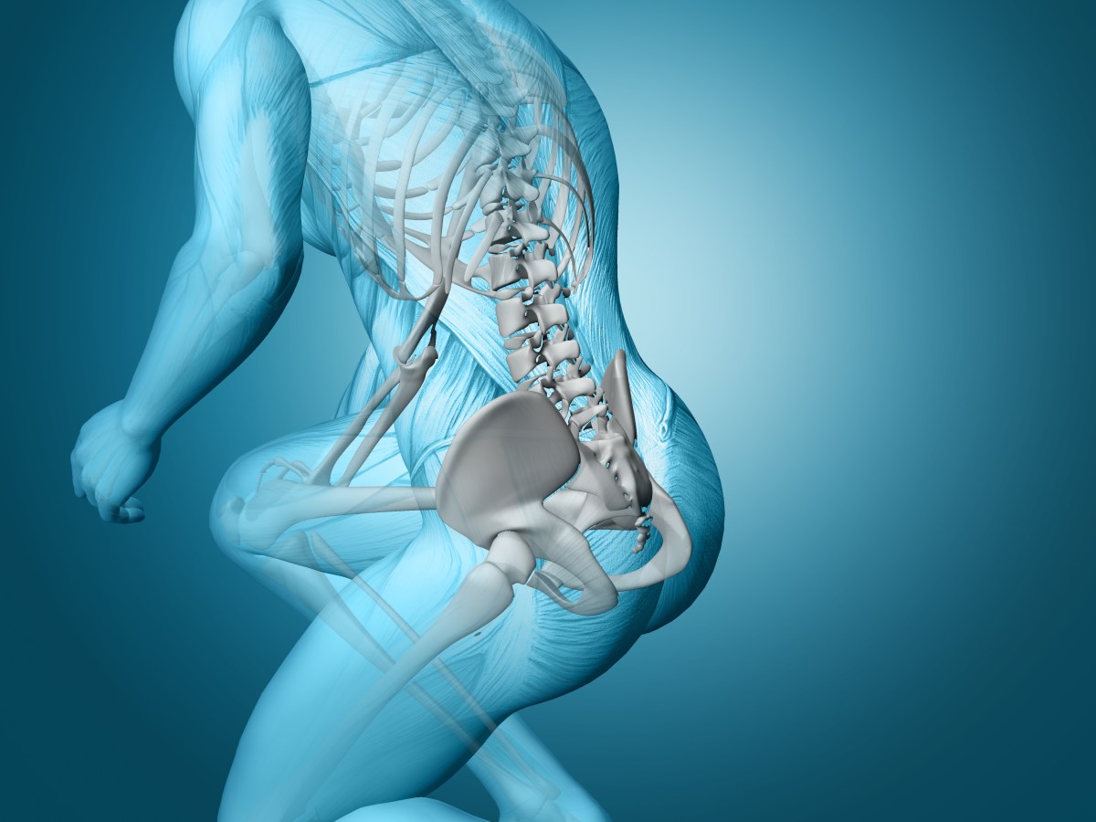 La Kinésiologie et la sciatique : Comprendre et soulager la&nbsp;douleur