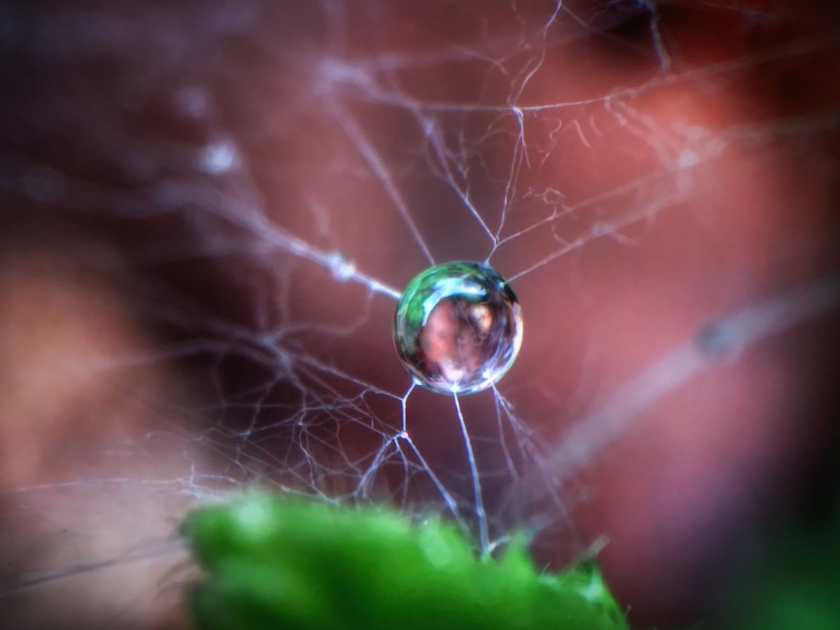 Kinésiologie et hypersensibilité : un atout à&nbsp;apprivoiser