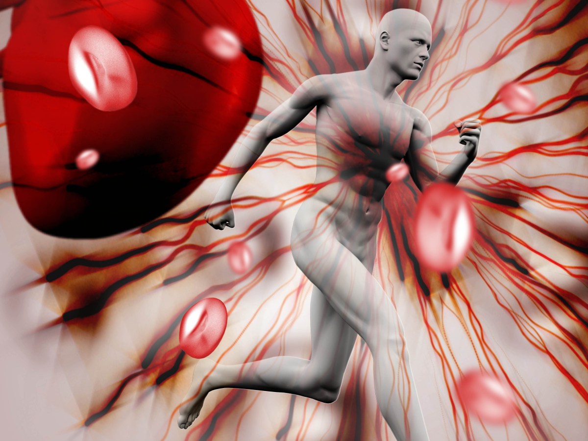 Optimiser sa concentration et sa focalisation dans le sport grâce à la&nbsp;kinésiologie