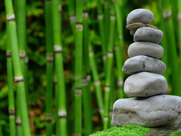 Découvrez la kinésiologie : une méthode douce pour retrouver équilibre et&nbsp;bien-être