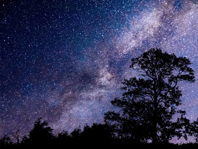 Avis google : 🌿 Un petit coup de pouce qui fait du bien&nbsp;🌿