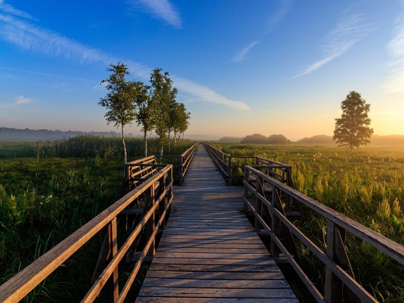 🌿 Accompagnement en transition professionnelle : Kinésiologie & conseils pour créer son&nbsp;activité