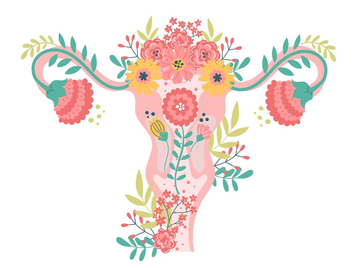 Endométriose et kinésiologie : un accompagnement holistique pour apaiser le corps et l’histoire&nbsp;intérieure