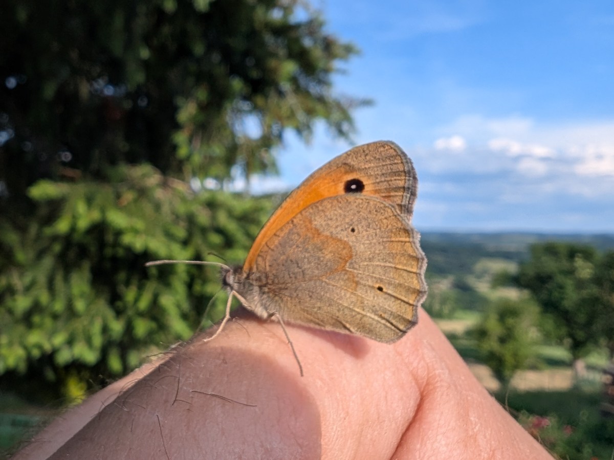 🌿 Carnet de Vacances&nbsp;Bien-Être