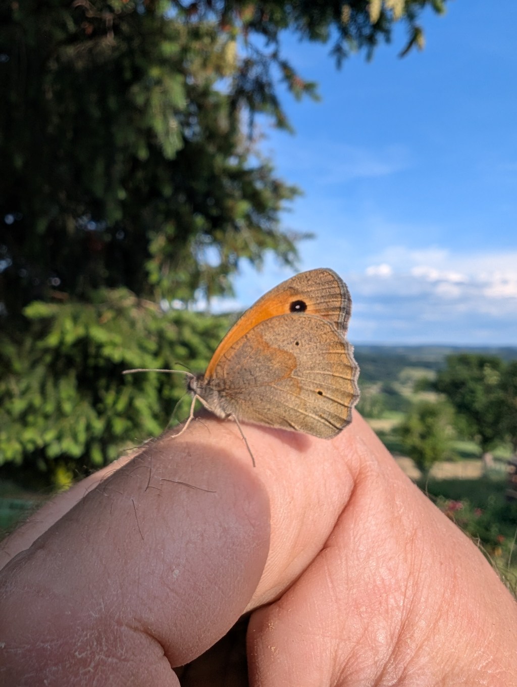 🌿 Carnet de Vacances&nbsp;Bien-Être